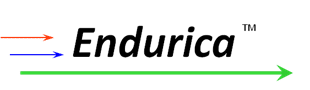 Endurica First Logo
