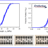 Endurica for Reliability and Durability