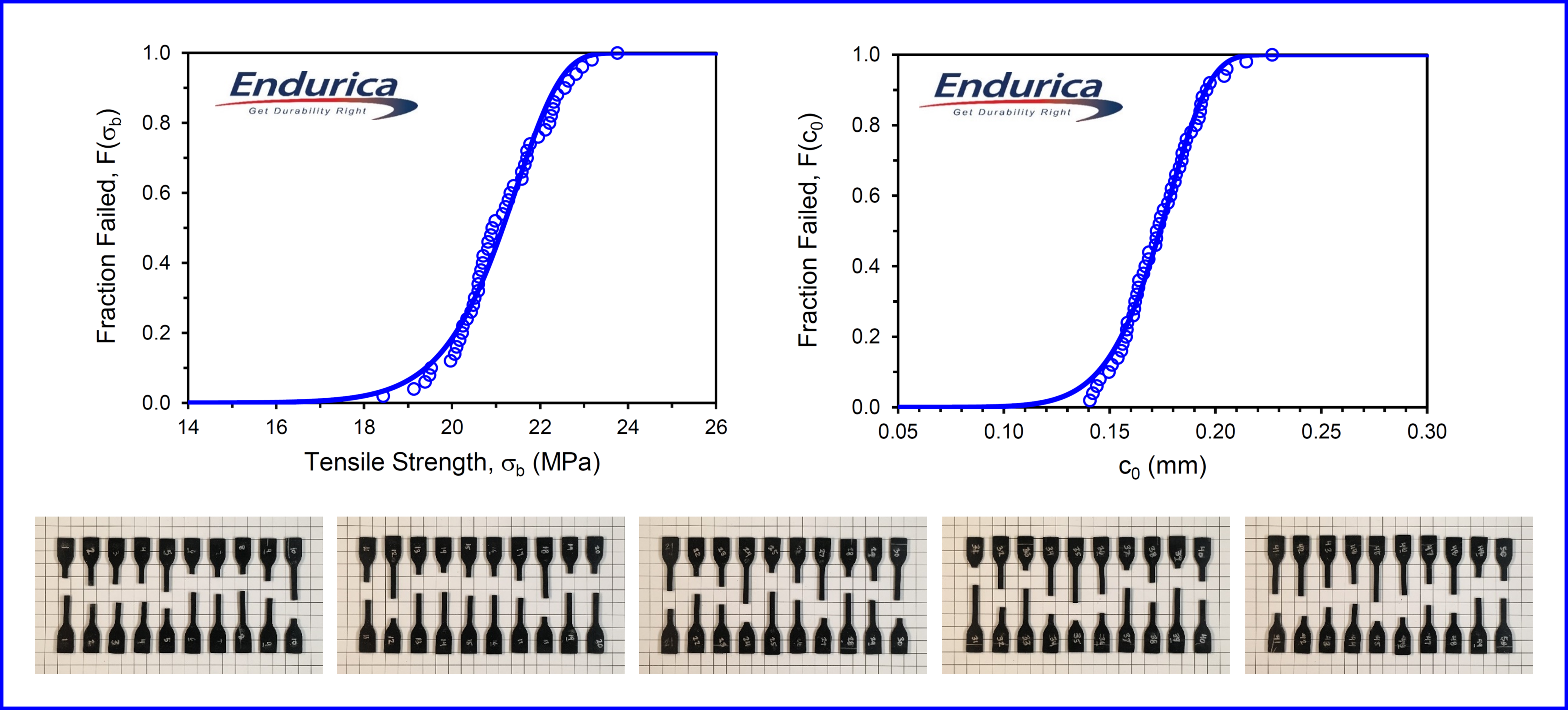 Endurica for Reliability and Durability