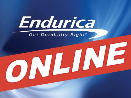 Endurica presents online workshops