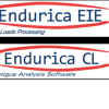 Road loads being converted into block cycle schedules through Endurica software EIE and CL