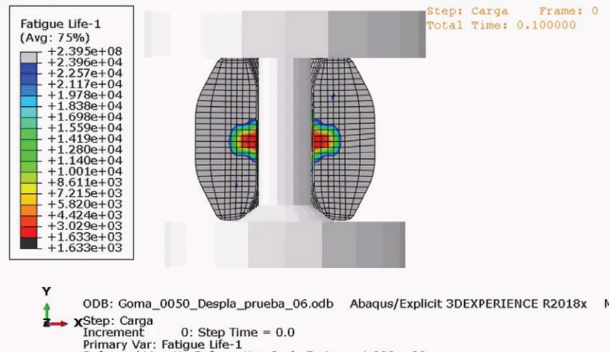 rassinin durability analysis