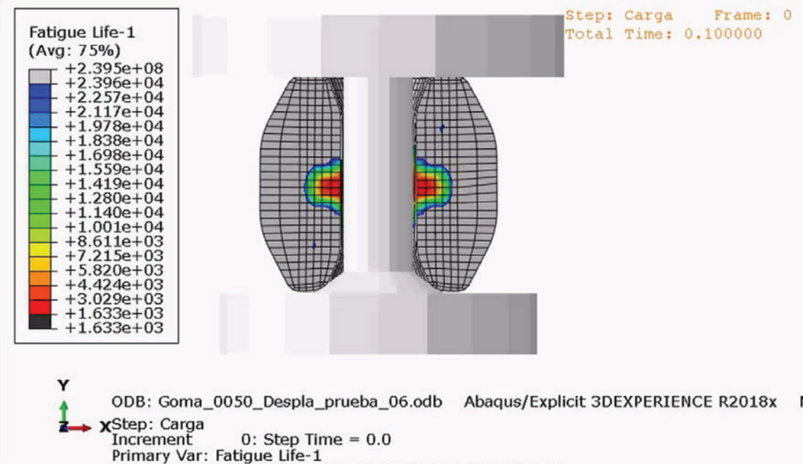 rassini case study