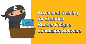 ICON SIZE for Advanced Training for Endurica Rubber Fatigue Simulation Software