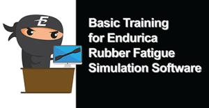 ICON SIZE for Basic Training for Endurica Rubber Fatigue Simulation Software